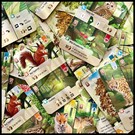 Foto van speelgoed 04_Forest_Shuffle_forest-shuffle-kaarten-scaled.jpg